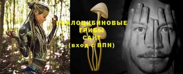 дмт Армянск